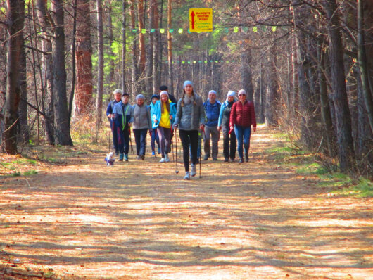  Занятие Скандинавской ходьбой 